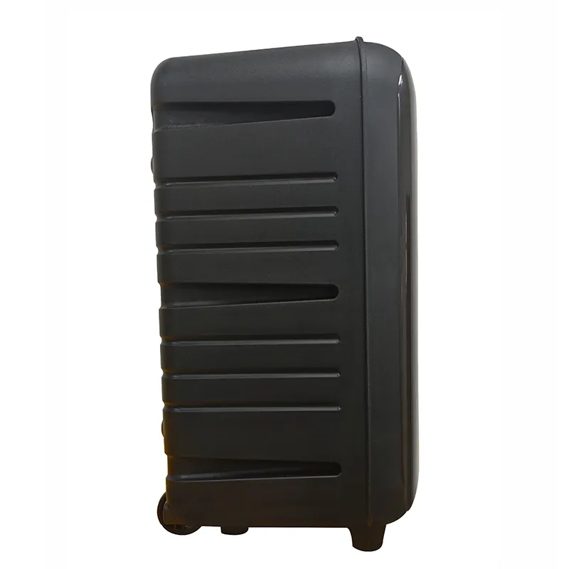 Акустическая система с выдвижной ручкой серии YY-PD108LOKR.4