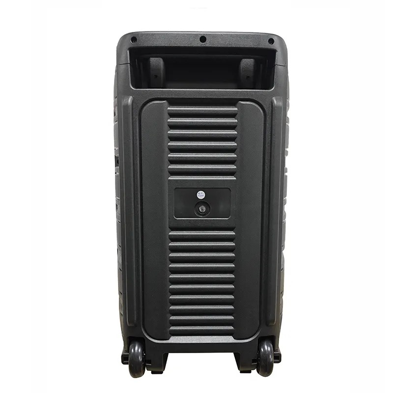 Акустическая система с выдвижной ручкой серии YY-PD112LOKR.2