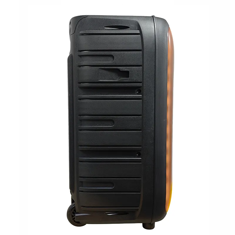 Акустическая система с выдвижной ручкой серии YY-PD112LOKR.3