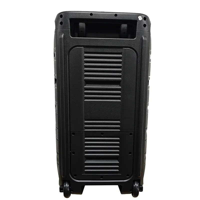 Акустическая система с выдвижной ручкой серии YY-PD115LOKR.2