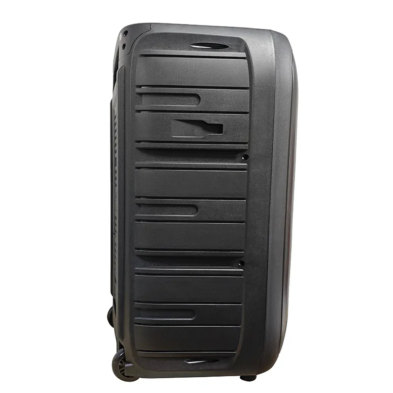 Акустическая система с выдвижной ручкой серии YY-PD115LOKR.3