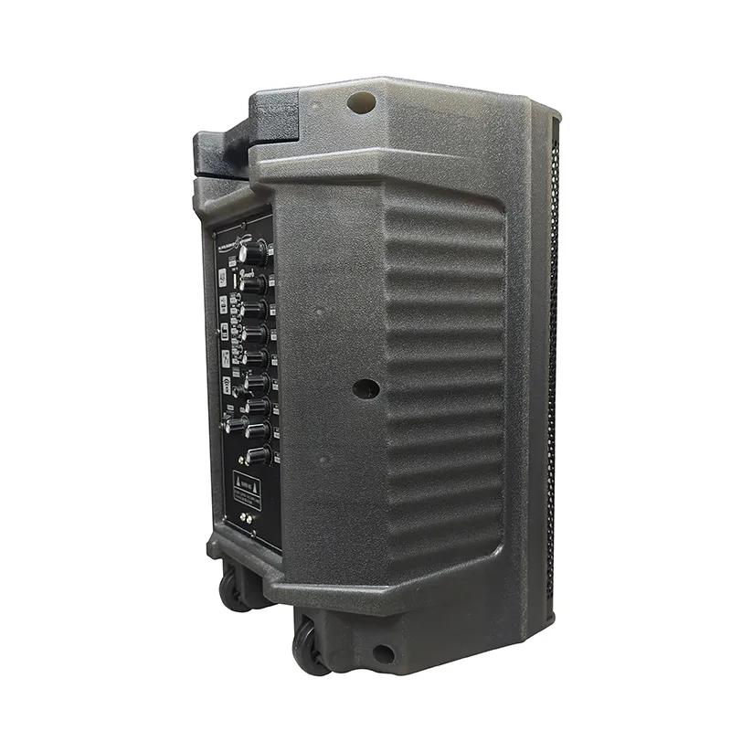 Акустическая система с выдвижной ручкой серии YY-PD210.5