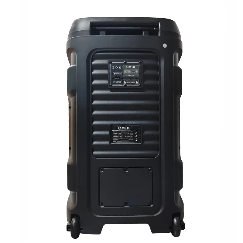 Акустическая система с выдвижной ручкой серии YY-PD215LOKR.2