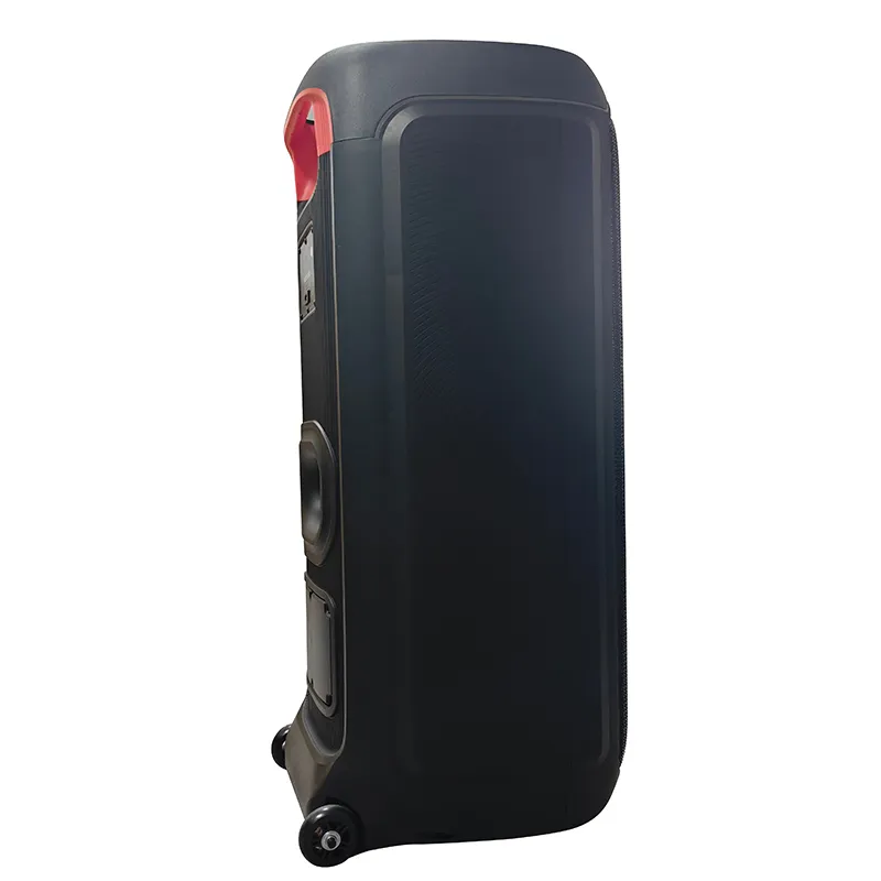 Акустическая система с выдвижной ручкой серии YY-PDD12LOKR.4