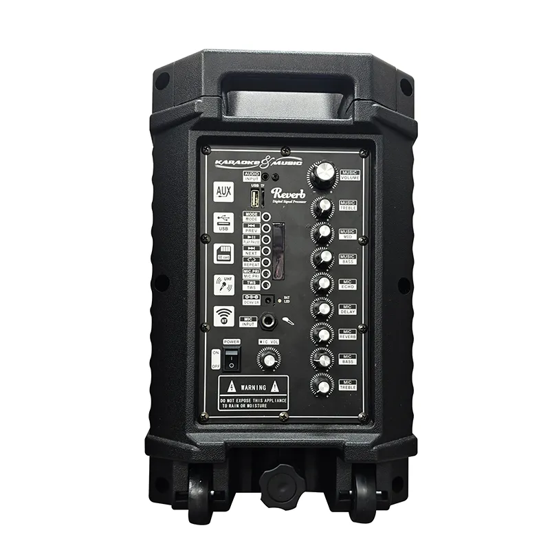 Портативная акустическая система серии YY-PE408.2